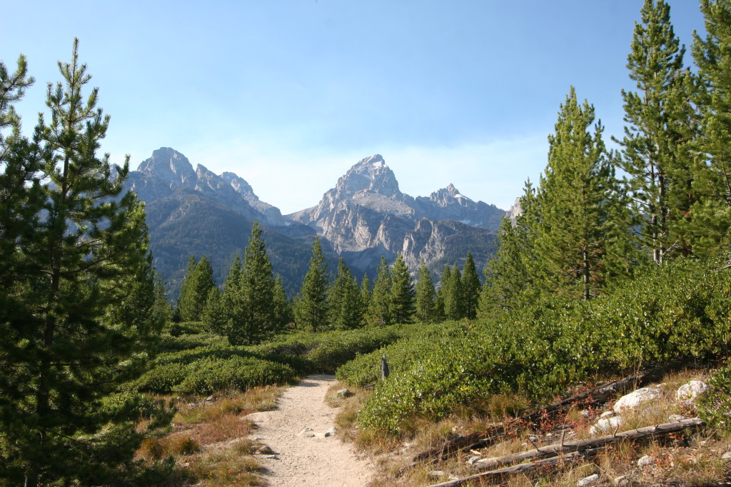 The Trail to Taggert Lake.