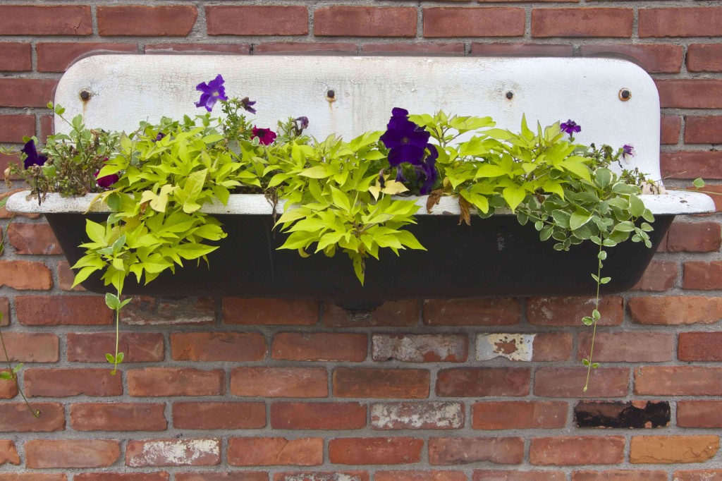 A flowerbed overflows from an old kitchen sink decorating the side of a building in Corktown neighborhood of Detroit. Photo ©Robert Bundy