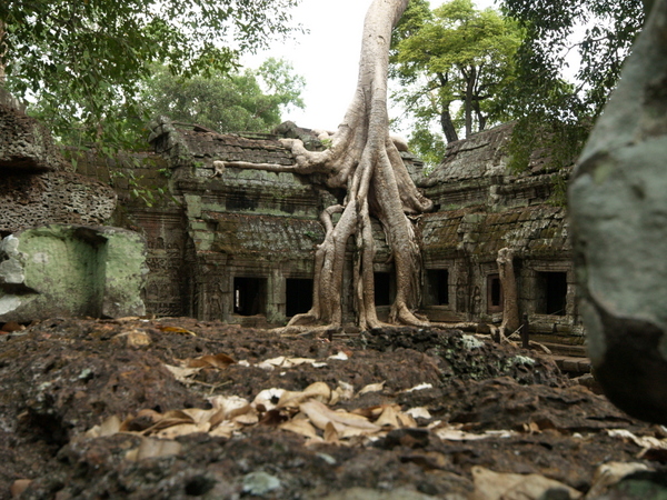 Get some alone time at Ta Prohm and imagine yourself in an adventure story.