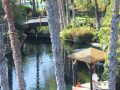 Lagoons, footbridges and private places link together across the lush, tropical 44-acre landscape at Paradise Point Resort & Spa.