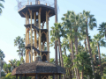 Paradise Point Tower provides an observation deck with views of the bay.