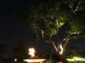 Torches, fires, waterfalls and strings of lights make the island a wonderland by night