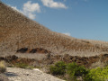 Hillside-with-trees