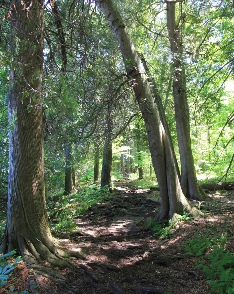 Along the Eagle Trail in Peninsula State Park.