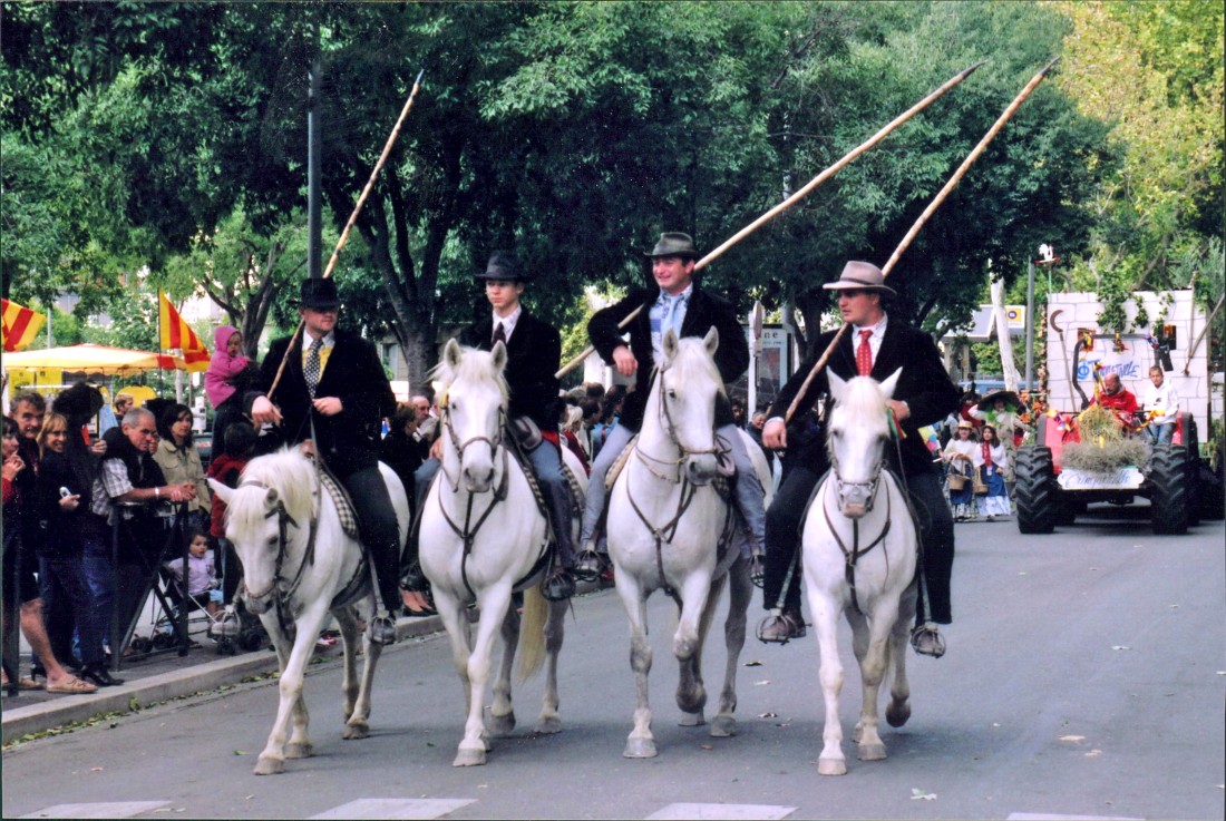 Feria Tale: The Rice Festival in Arles – Travelers Roundtable